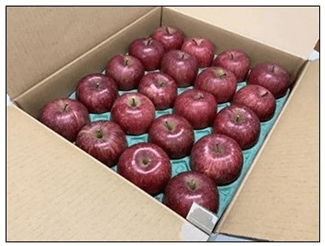 8PGJLJ8QheuVgprRrXmk.png?w=940&h=940