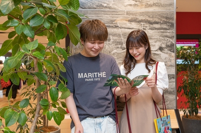 8PJjfgQWCnd0yOXYmPNU.jpg?w=940&h=940