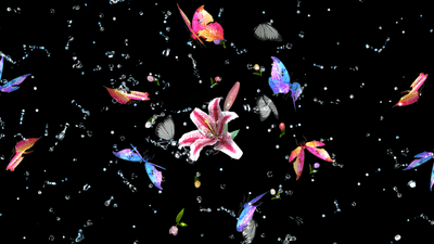 8PUSm4LwTaW9WK4gzCD6.png?w=940&h=940