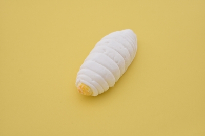 8QZAVy28RVYYlhFgR1ha.jpg?w=940&h=940