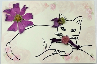 ポストカード（猫）イメージ