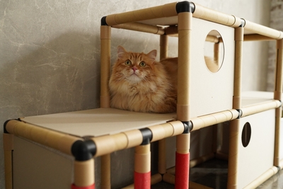 8RJhhSh3WPjpuFvD1RdQ.JPG?w=940&h=940