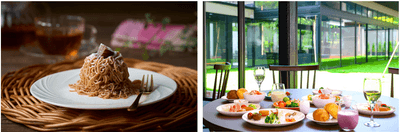 8RRr6IG5RYqOgNeHHtVp.png?w=940&h=940