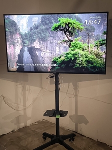 8TKZOC4HnOoGNVD8qhXr.jpg?w=940&h=940