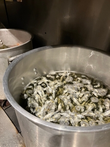 8UgPNTaKVKD1J1s5kDdo.jpeg?w=940&h=940