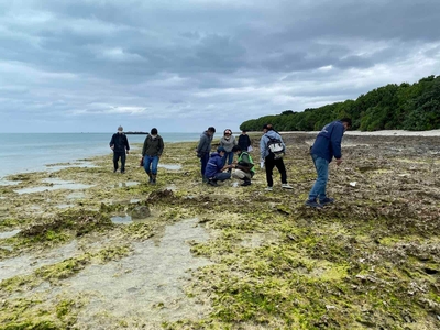 8Uu9DGYSFUaTrJLiBYBp.jpg?w=940&h=940