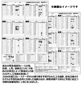 無料配布　スポプリ中央競馬（見本版）