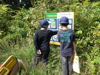 8WNbb9XfN1aYRvariPJw.jpg?w=940&h=940