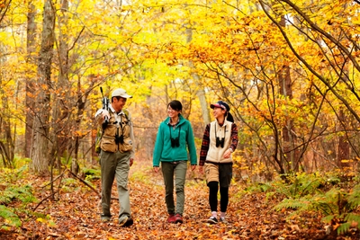 8XziWCgUrAJrPuLBEtFM.jpg?w=940&h=940