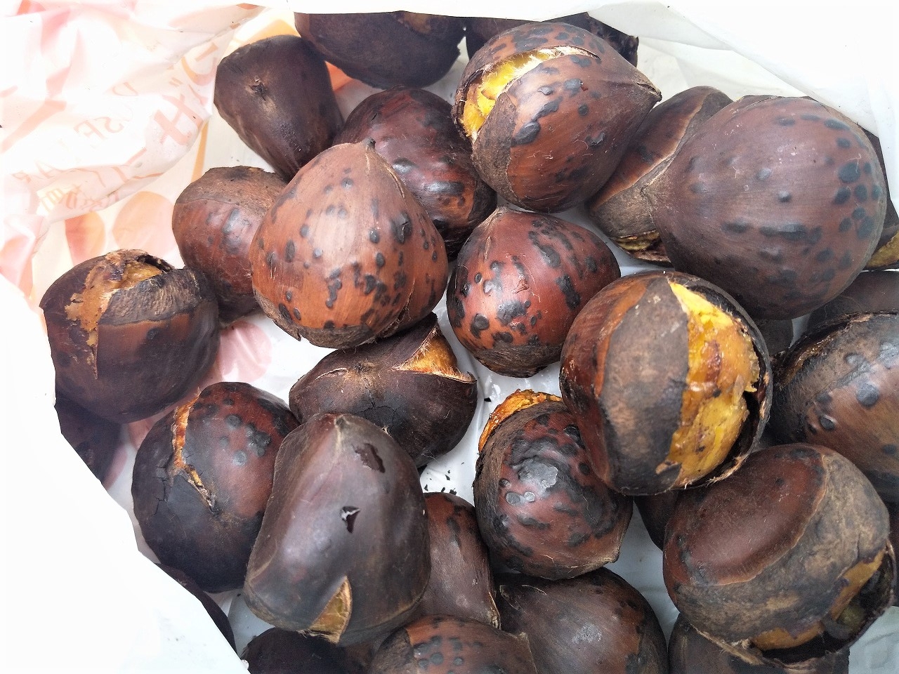 10/7（土）ヒルズマルシェで、ブランド栗として有名な小布施栗を、焼き栗として販売！