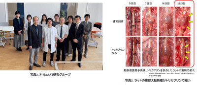 8ZL9A06rXC1pAulTtLNs.png?w=940&h=940