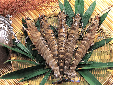 8ZOrOLwX9EJwjly76stH.png?w=940&h=940