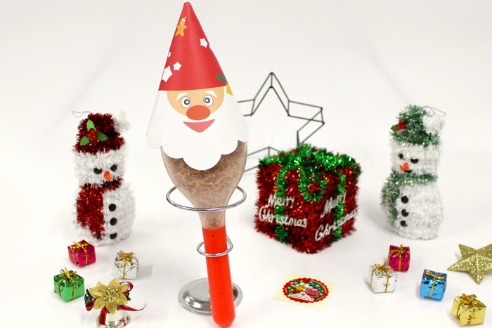 「フリフリ♪ベビースター」クリスマスVer