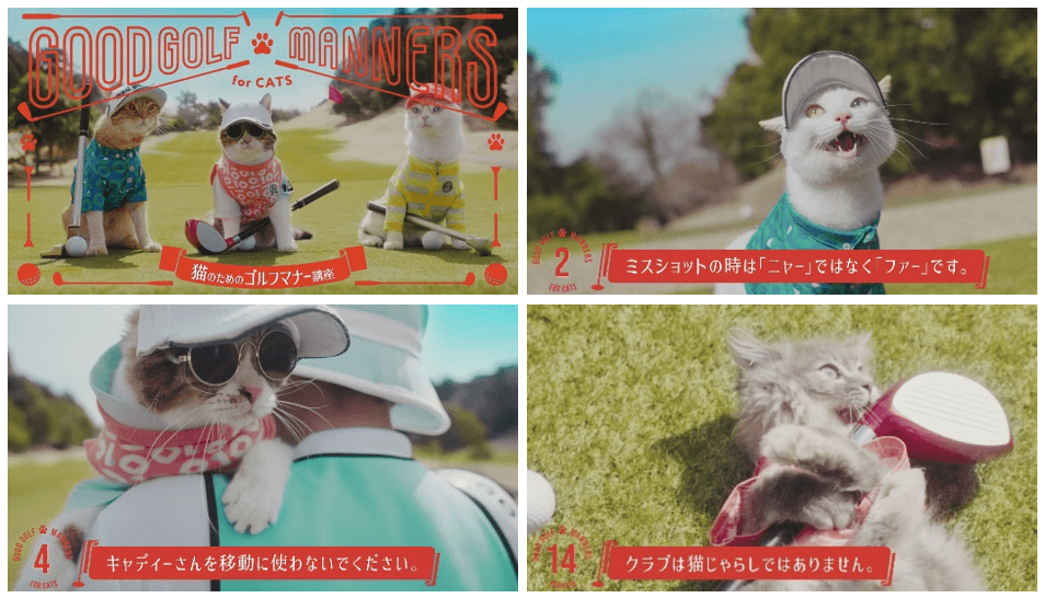 ねこ。様専用ゴルフウェア4点セット 猫セット | ゴルフボール名入れJAPAN