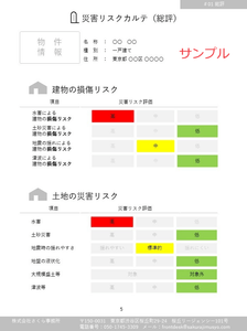 災害リスクカルテサンプル