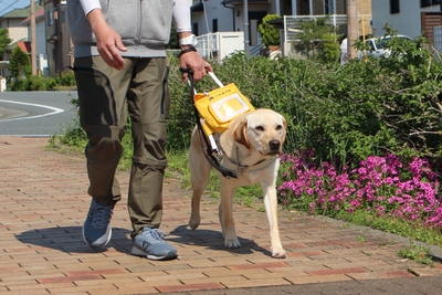 8fnQd3zM4hDnrUipLHpz.jpg?w=940&h=940