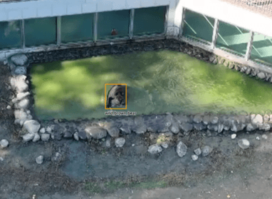 8gOuUnyx240dBvGX1iJK.png?w=940&h=940