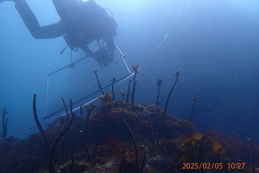 「藻場をおこす、未来をつくる」全国的な磯焼け（藻場の喪失）問題に対し、漁業者、企業、行政が官民連携で、藻場再生を通じて、地域活性化を目指す好循環モデルの構築に取り組んでいます。