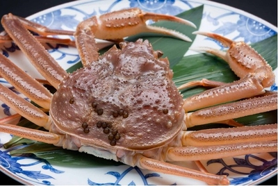 8irfcNhrHajoYu3W1sqF.jpg?w=940&h=940