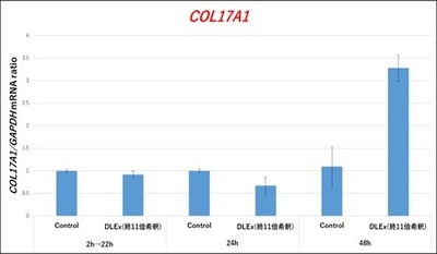 17型コラーゲンα1遺伝子誘導効果