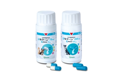 ジルケーン75mg / ジルケーン225mg