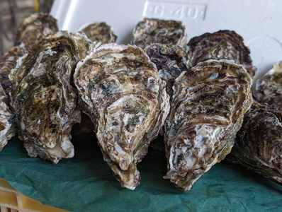 8niaZ1jf1OOcbyEcnWI6.jpg?w=940&h=940