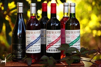 8oKrrRLth3w4OXPjYcI8.jpeg?w=940&h=940