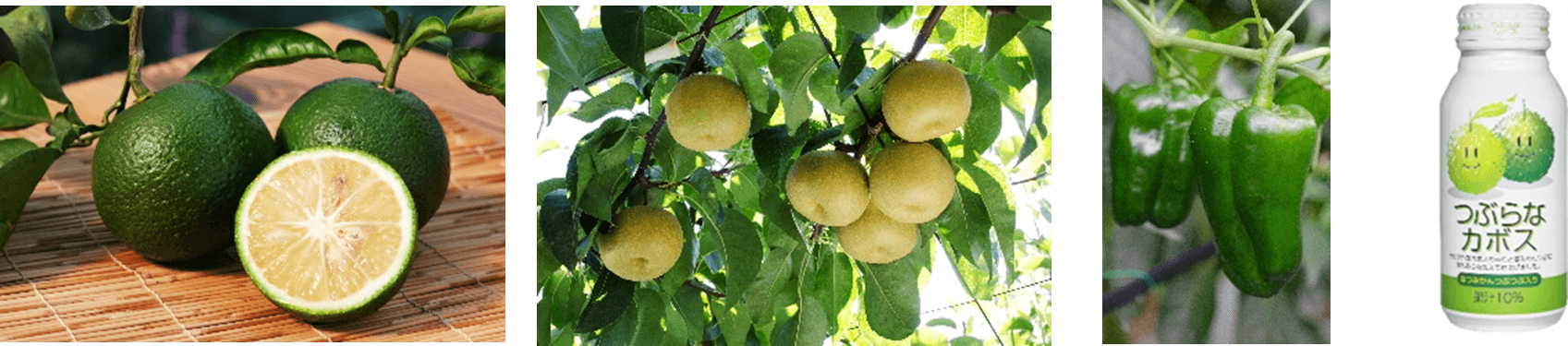 JA全農とJR西日本の地域振興支援プロジェクト JR大阪駅で「みのりみのるマルシェ 大分の実り」を8月2日に開催