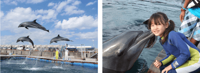 8pzORgHEwkiCHiNLj5Jk.png?w=940&h=940