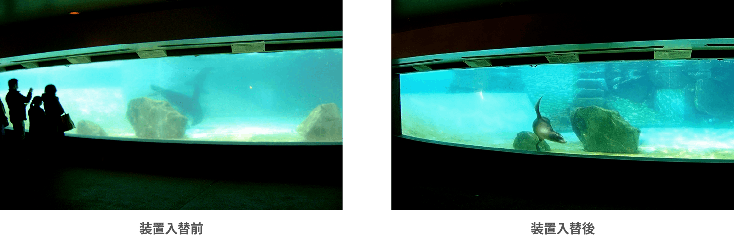 アシカ池の水質改善