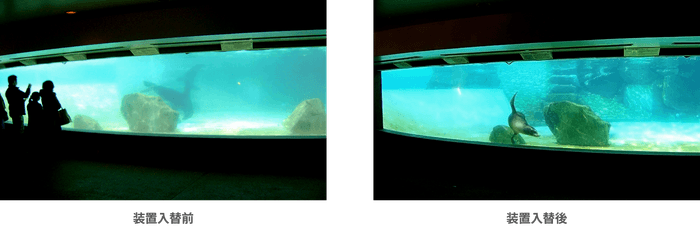 アシカ池の水質改善