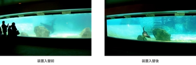 コーヒーの脱色からアシカプールの水質改善、除草剤の分解まで　 オゾンに特化した研究室「オゾンラボ」 失敗例含むリアルな実証実験データ200件を公開