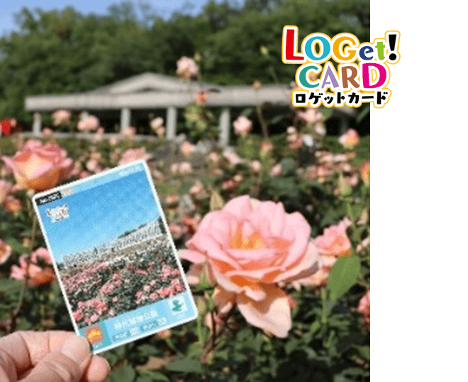 LOGet!CARD(ロゲットカード)イメージ