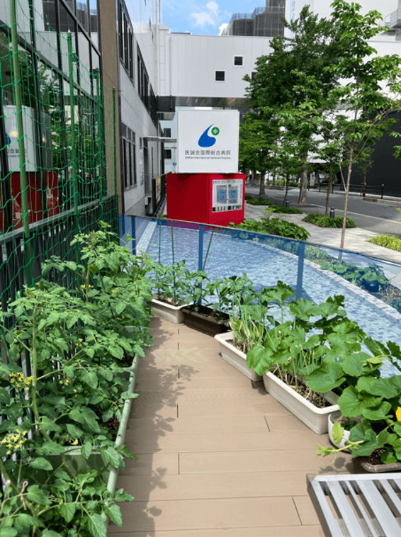 医療複合施設「i-Mall」南棟 水辺のさくらテラスガーデン