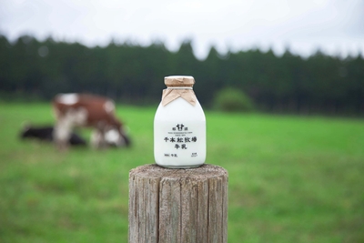 8sCzNiT6GWoR8yG8D1Rm.jpg?w=940&h=940