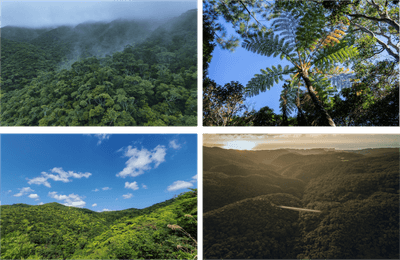 8tbpPYumNZkdsoHGl4Xr.png?w=940&h=940