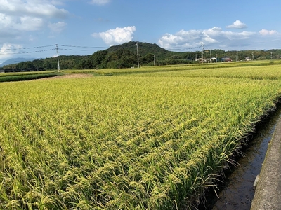 8uLCdWci5EqEmkc5r8dp.jpg?w=940&h=940