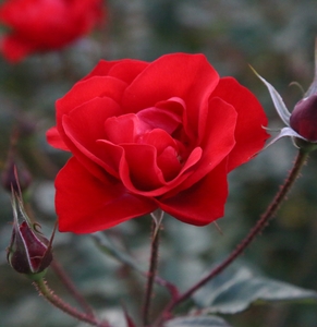 8upScGjF1BC5V2rNsz3S.jpg?w=940&h=940