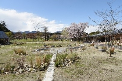 8uxr85yLE2m57AjynlV4.jpeg?w=940&h=940