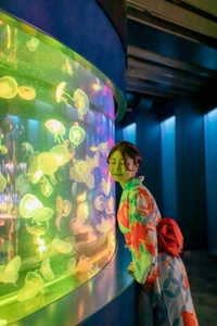 8vbEwyUftRGbhKbrdMft.jpg?w=940&h=940