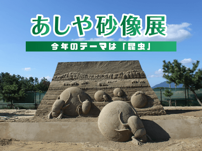 8vt7WW6iWJ8NyWulmhUQ.png?w=940&h=940