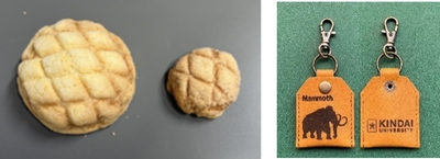 近大ICTメロンパン　※試食はミニサイズでの提供となります。（左）　マンモスプロジェクトのマンモスエアタグホルダー（右）
