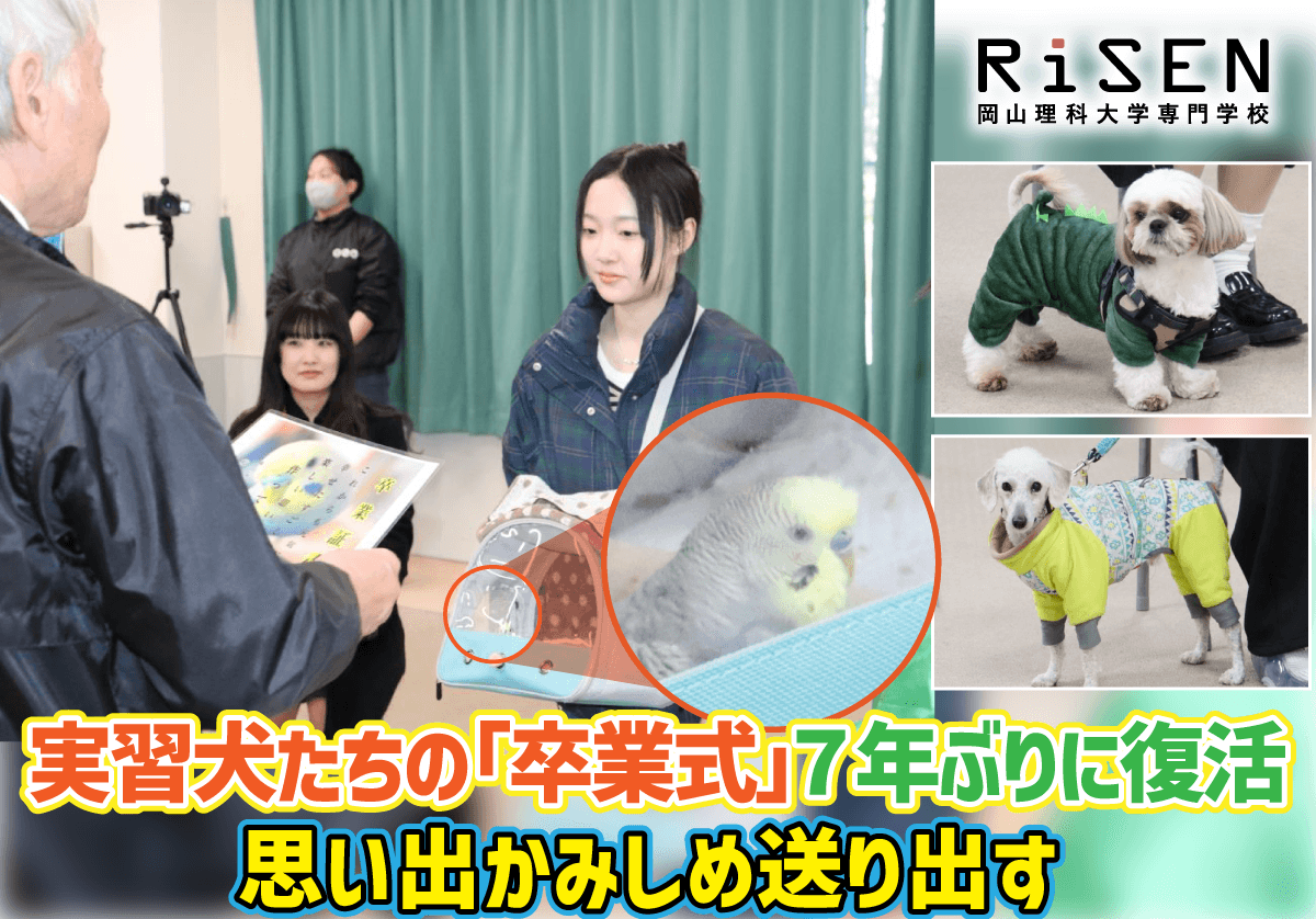 【岡山理大専門学校】実習犬たちの「卒業式」７年ぶりに復活 ――思い出かみしめ送り出す
