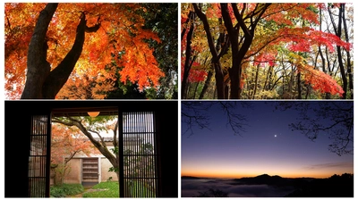 秋到来!美しい紅葉を4K動画と癒やしの音楽で巡るバーチャルトリップ体験!