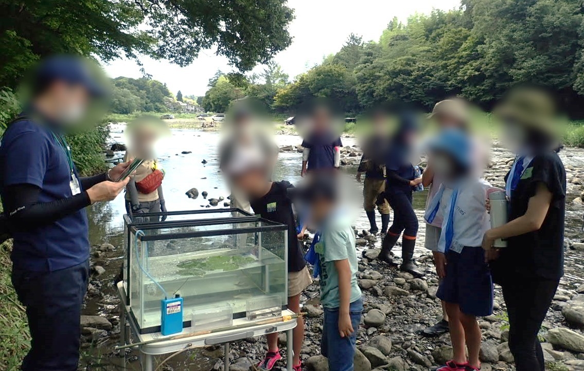 観察してどんなことに気がついた?