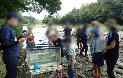 観察してどんなことに気がついた？