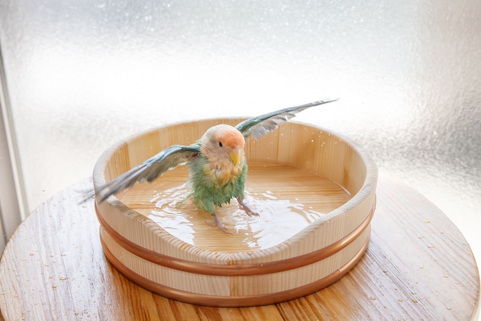 使用イメージ・水浴び