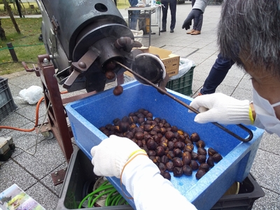 90HJMCZbx1Q9m92JVIGd.jpg?w=940&h=940