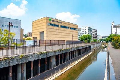 919VUG7r6HFyHiEYJhvL.jpg?w=940&h=940