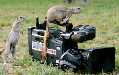 91PTXc5HeTDqpTfKhYUN.jpg?w=940&h=940